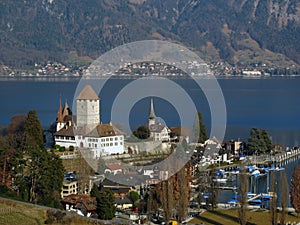 Spiez Castle on lake Thunersee 01, Switzerland