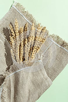 Spike of wheat close up on sack. Cereal crop. Rich harvest creative concept. natural ears of plant.