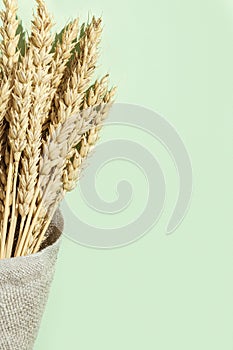 Spike of wheat close up on sack. Cereal crop. Rich harvest creative concept.natural ears of plant.