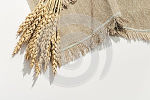 Spike of wheat close up on sack. Cereal crop. Rich harvest creative concept. Still life image with natural ears of plant