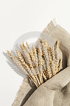 Spike of wheat close up on sack. Cereal crop. Rich harvest creative concept. Still life image with natural ears of plant