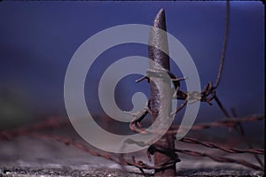 Spike from WWII personnel barrier