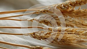 Spikelet of dry wheat on a brown cloth