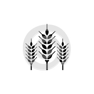 Spikelet Flat Vector Icon