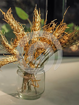 Spikelets