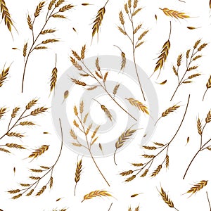 Spikelets of cereal on a white background. Seamless pattern for wallpaper, patterns, brand, packaging