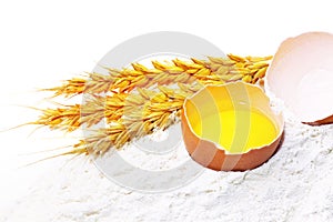 Spikelets of wheat with egg on flour spillage.Isolated.