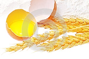 Spikelets of wheat with egg on flour spillage.Isolated.
