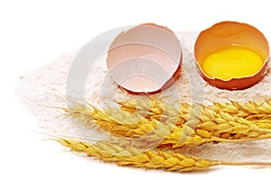 Spikelets of wheat with egg on flour spillage.Isolated.