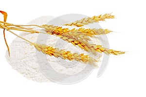 Spikelets of wheat on flour spillage.Isolated.