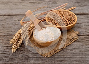 Spikelets, wheat grains and flour