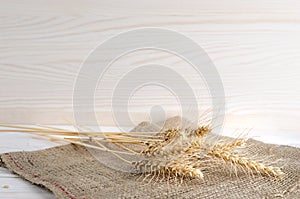 Spikelets of wheat lie on sacking