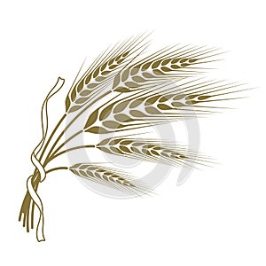 Spikelets of wheat tied with a ribbon