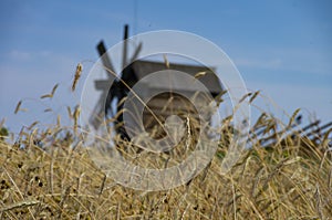 Spikes on the field. At background wooden mill in historical orthodox museum Kizhi. Island Karelia Omega. North country Russia