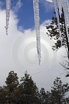 Spikes of Icicles