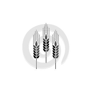 spikes of wheat icon. Element of farm for mobile concept and web apps. Icon for website design and development, app development. P