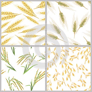 Spikes of wheat, oats, rice and rye. Set of grain ears seamless patterns.