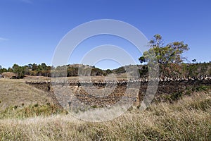 Spiky Bridge in Tasmania