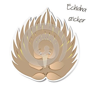 Spiky echidna sticker patch isolated on white background