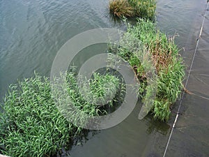 SPILL OVER POINT OF WATER ON OVERFLOW EDGE AT RIETVLEI DAM