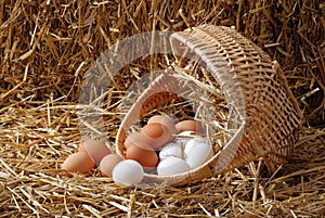 Spilled basket of eggs