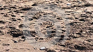 Spilled garbage on the beach of the big city. Empty used dirty plastic bottles. Dirty sea sandy shore. Environmental pollution. Ec