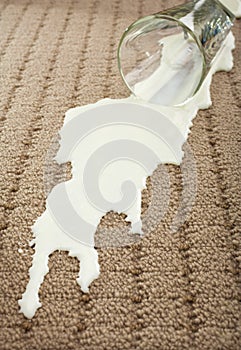 Spilled Milk on Carpet