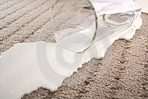 Spilled Milk on Carpet Insurance Claim Accident