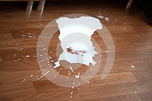 Spilled milk on the floor