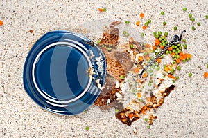 Spilled plate of food on carpet photo