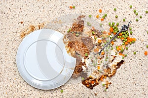 Spilled plate of food on carpet