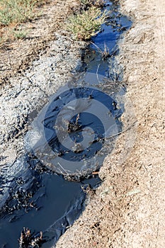 Spilled streams of liquid crude oil flow down drainage ditch into public body of water. Environmental disaster Oil pollution of photo