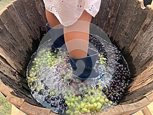Spin wine, harvest & grape festival. Armenia