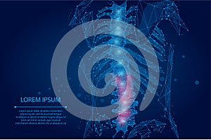 Abstract mesh line and dot physiotherapy human spine. Polygonal render female back hernia