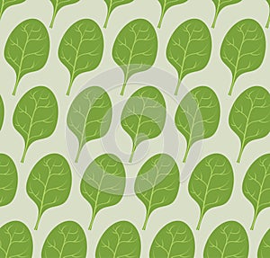 Spinach background. Vector seamless pattern from green leaves of