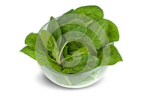 Spinach into the bowl