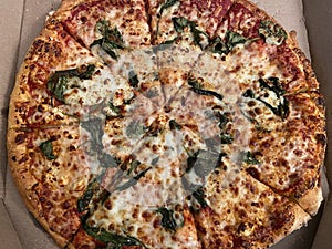 Spinach Cheese Pizza Carryout photo