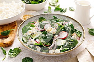 Spinach and cottage cheese fresh green vegetable salad with radish, cucumber and yogurt, healthy diet food