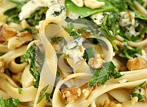 Spinach Fettucini