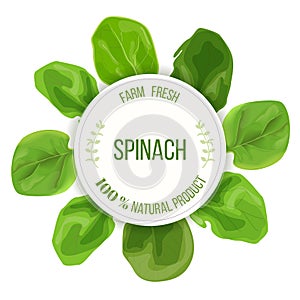 Spinach fresh juicy raw leaves around circle badge with place for text. Concept for logo, tag, advertising, prints