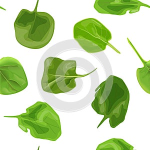 Spinach fresh juicy raw leaves seamless vector pattern isolated. Healthy diet, vegetarian food, spring summer vegetables