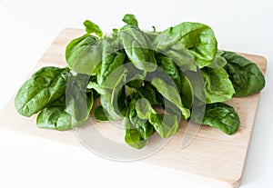 Spinach photo