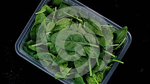 Spinach green lettuce leaves in a plastic box, twirling on a black background.