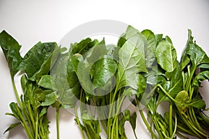 Spinach