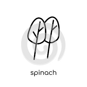 Spinach icon from Fruit and vegetables collection.