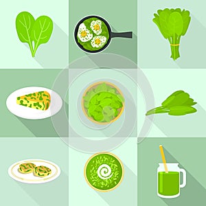 Spinach icons set, flat style
