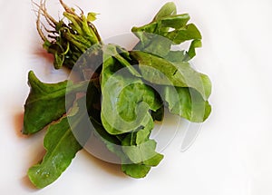 Spinach in isolated white background.