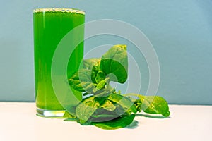 Spinach juice Spinacia oleracea on blue background