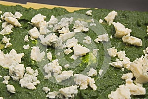 Spinach Lasagne Preparation