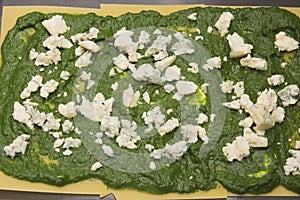 Spinach Lasagne Preparation